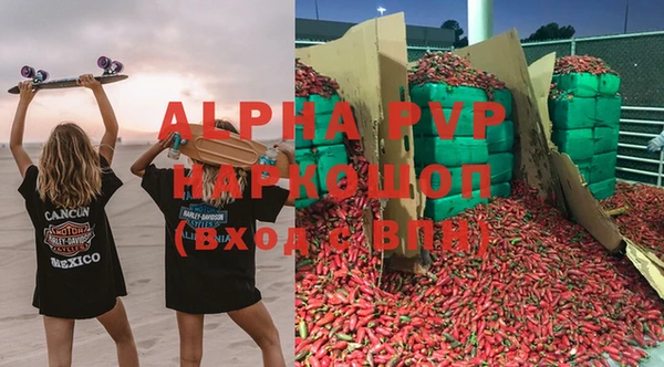 крисы Новокубанск