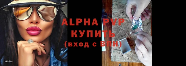 крисы Новокубанск