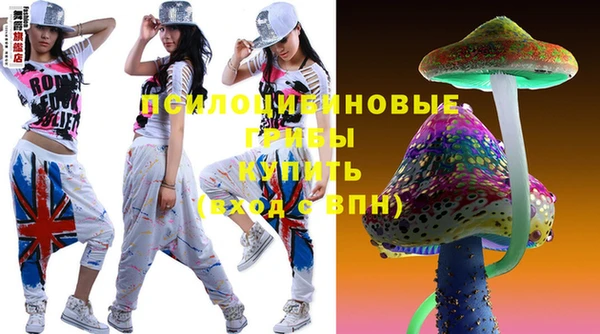 крисы Новокубанск