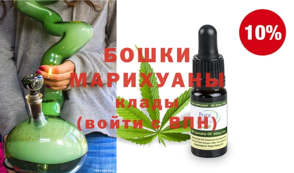 крисы Новокубанск