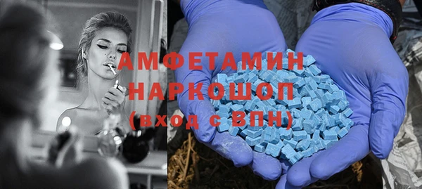 крисы Новокубанск