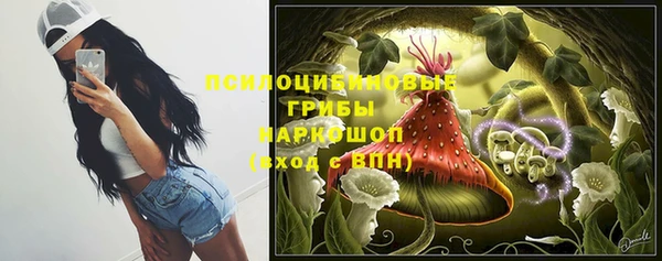 MDMA Premium VHQ Новозыбков