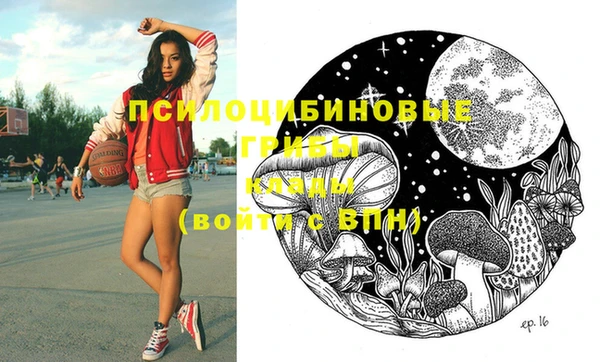 синтетический гашиш Новодвинск