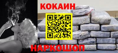 стаф Дубна