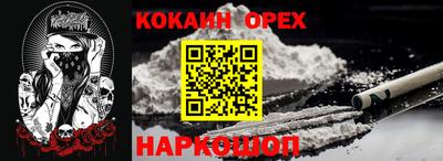 стаф Дубна