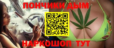 стаф Дубна