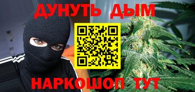стаф Дубна