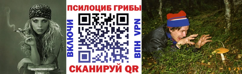 hydra ССЫЛКА  Комсомольск-на-Амуре  Псилоцибиновые грибы MAGIC MUSHROOMS 