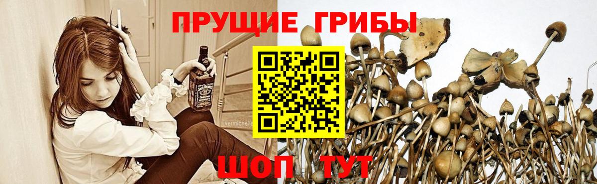 Псилоцибиновые грибы мухоморы Комсомольск-на-Амуре