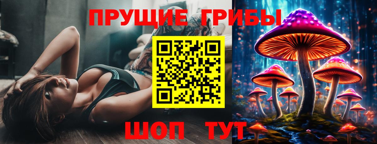 Галлюциногенные грибы GOLDEN TEACHER  Вход с VPN  Псилоцибиновые грибы Cubensis  Комсомольск-на-Амуре 
